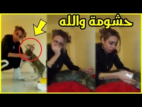 شاهد سيدة تبكي قطتها بعدما دسَّ مجهولون السم