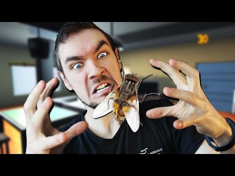 طريقة فك لغز المستوى الثاني من لعبة «fly in the house»