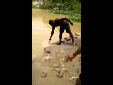 أسهل طريقة لصيد الأسماك